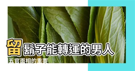 下巴留鬍子面相|留鬍鬚的面相特徵